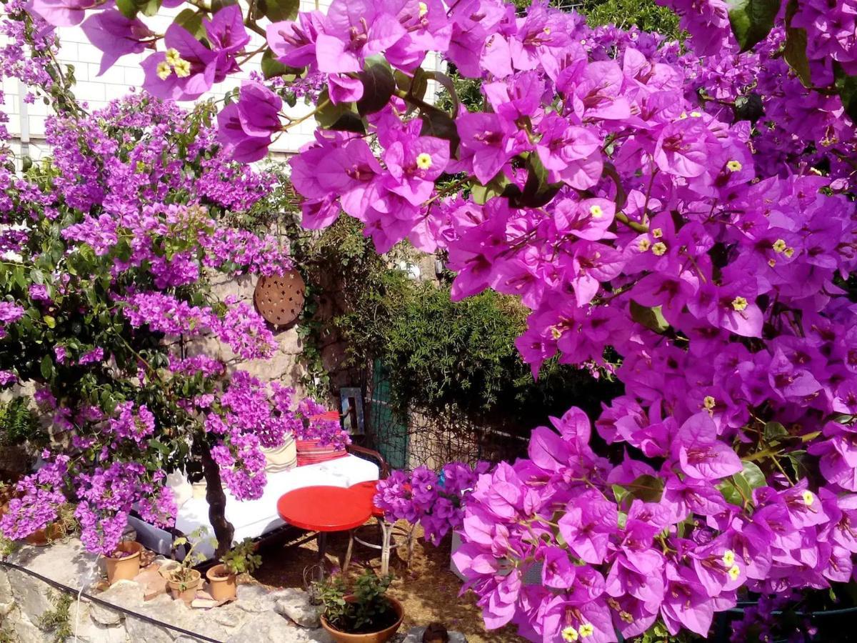 Nonina - Relax And Let Go Apartment Dubrovnik Bagian luar foto